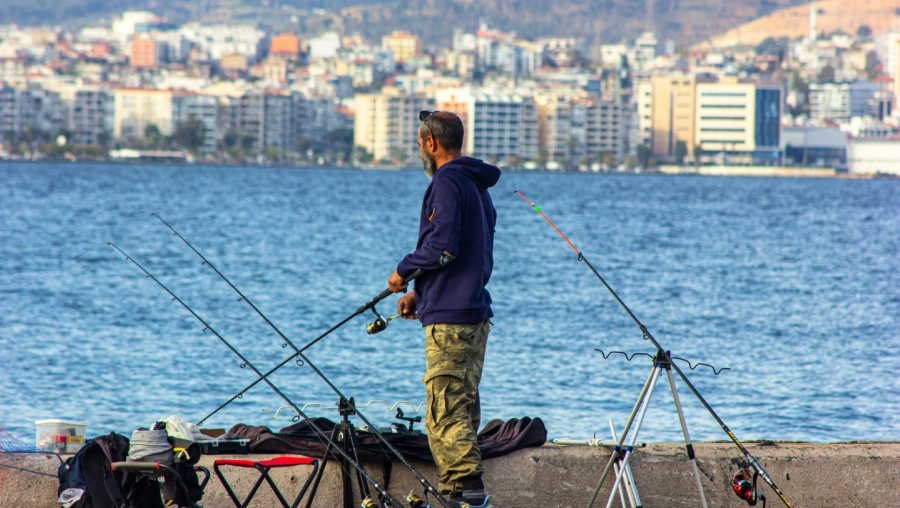 unsplash_Yr4n8O_3UPc Half Day Morning Fishing Trip fort meyers fl