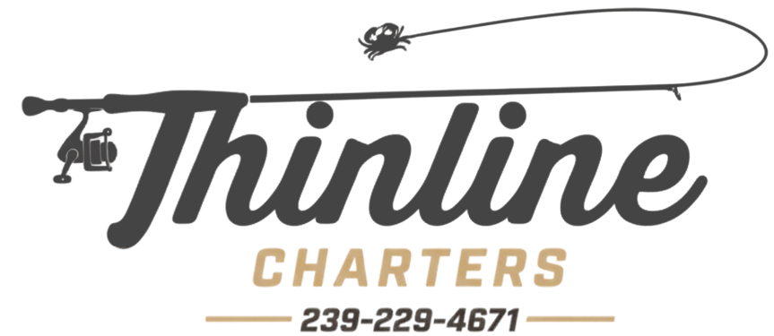Thinline Charters