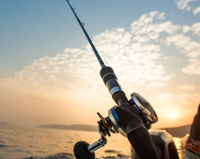 home 1 fidhing gear fort meyers fl